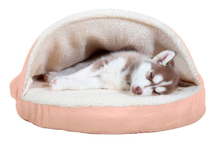 Furhaven Pet - Plush Ergonomic Contour Orthopedic Mattress