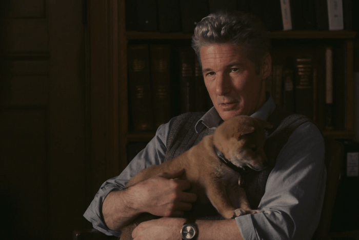 Hachi: A Dog's Tale movie