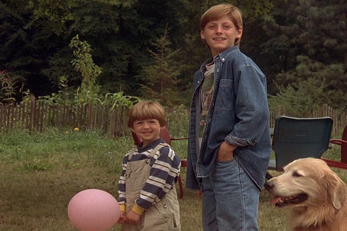 Homeward Bound the movie