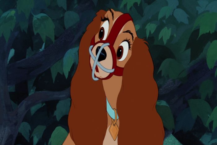 Lady And The Tramp movie
