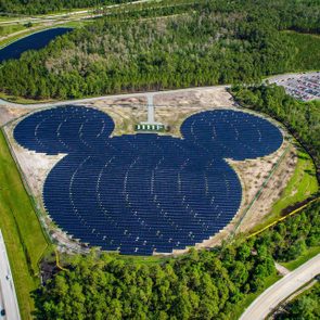 Solar panels form a Mickey Mouse shape; surrounded by greenery, parking lot, and roads in a landscaped area.