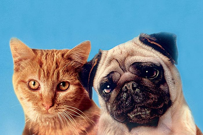 Milo And Otis movie