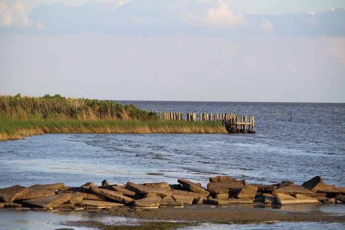 Fontainebleau State Park