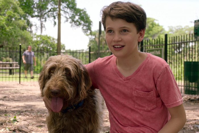 Think Like A Dog movie