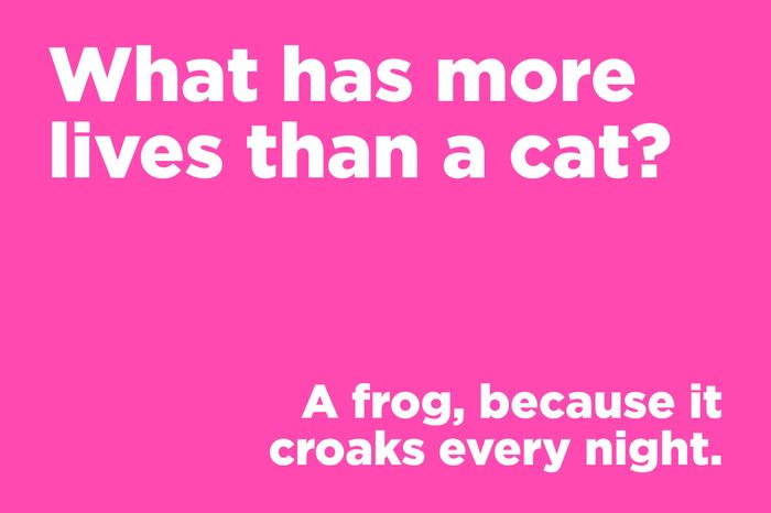 corny joke cat lives