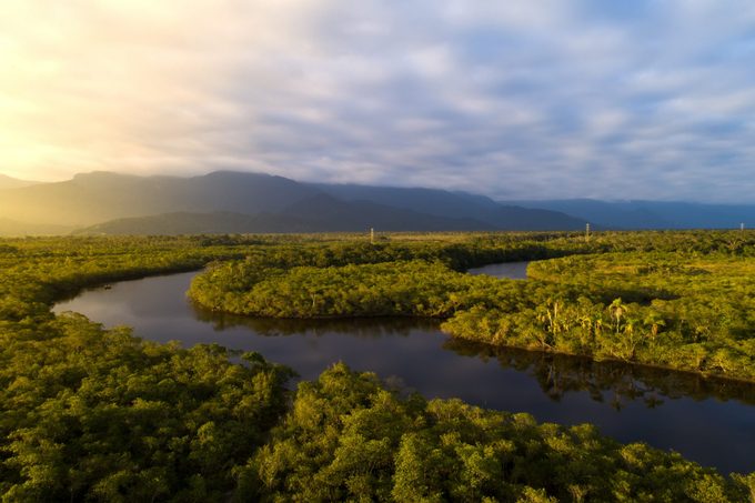 Amazon Rainforest in Brazil