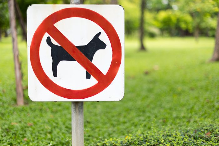 No pets allowed sign in the park.