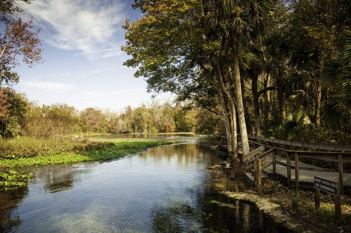 fall in Florida