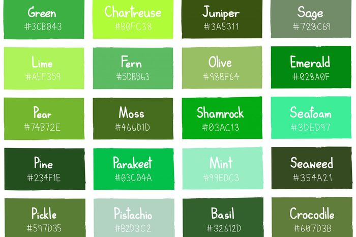 Green Tone Color Shade Background with Code and Name Illustration