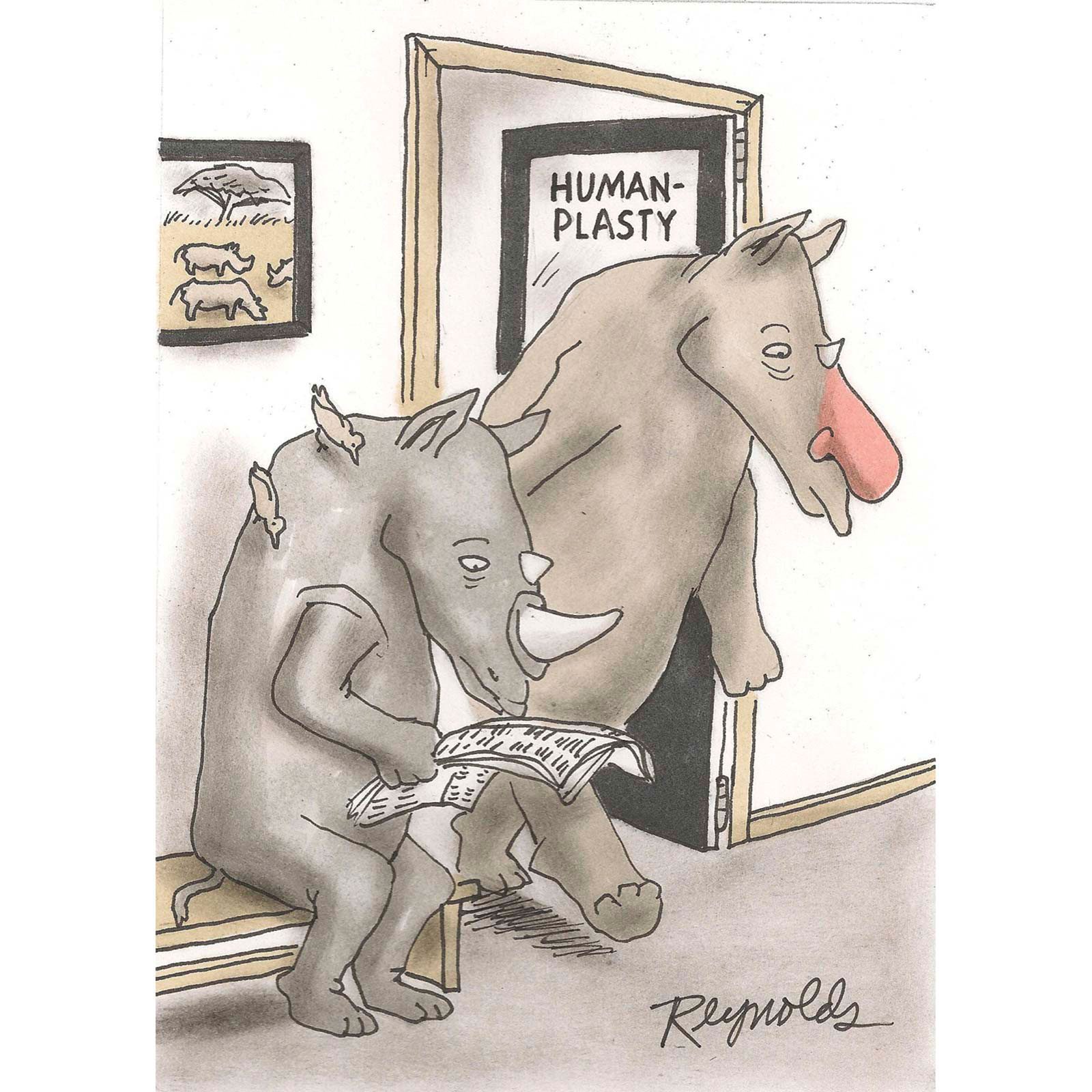 Rhino reads newspaper; another rhino exits "Humanplasty" room with a human nose; framed rhino picture hangs in pastel-colored room.
