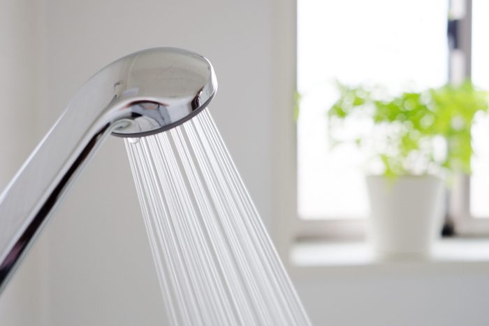 shower head