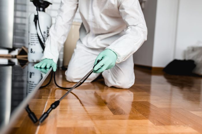 Exterminator in work wear spraying pesticide with sprayer.