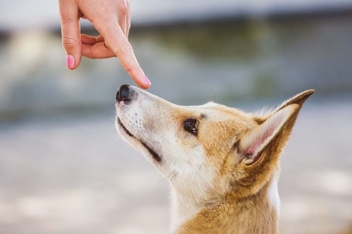boop