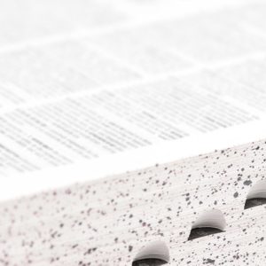 Thick, heavily-speckled book pages with visible tabs, lying flat, emphasizing a focus on text and texture in a well-lit environment.