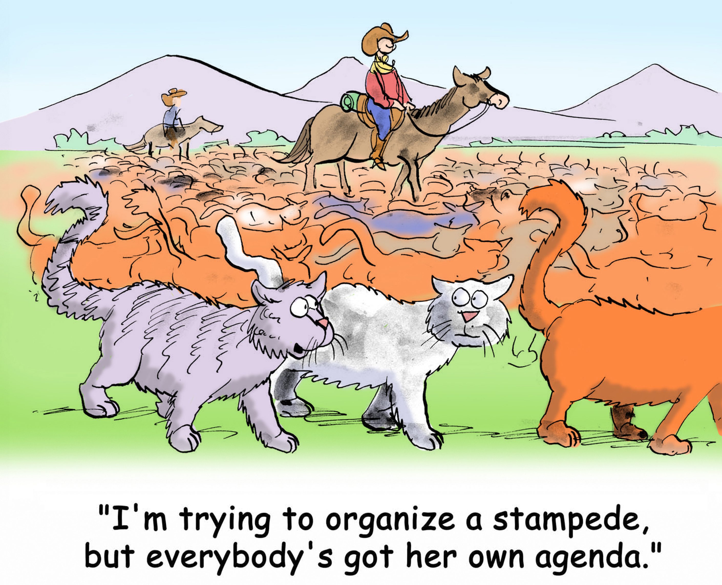 Cats walk independently while a cowboy on horseback tries to organize them across a grassy field; mountains are in the background. Text: "I'm trying to organize a stampede, but everybody's got her own agenda."