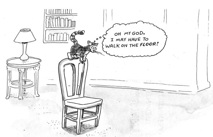 cartoon