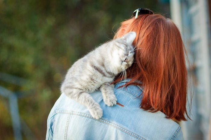 Grey tabby cat sitting on a shoulder at the girl. Outdoors