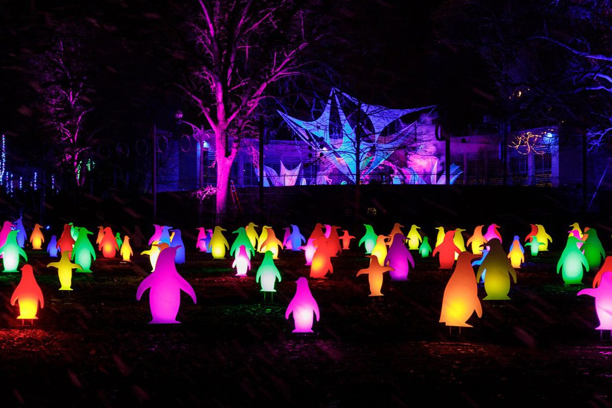 Philadelphia Zoo Christmas Lights