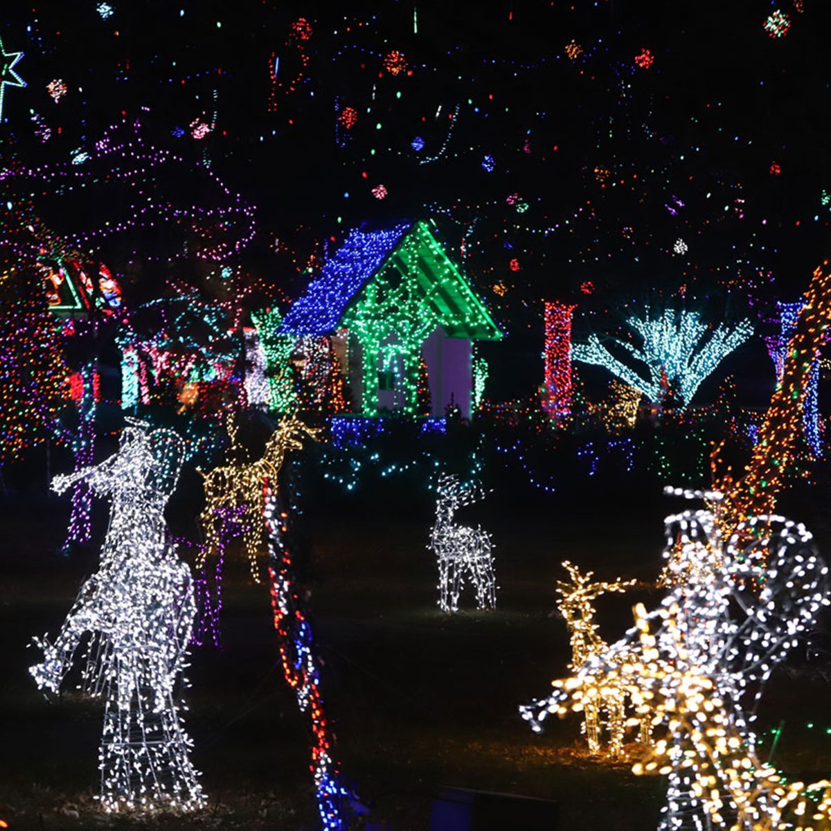 Rhema Bible School Christmas Lights