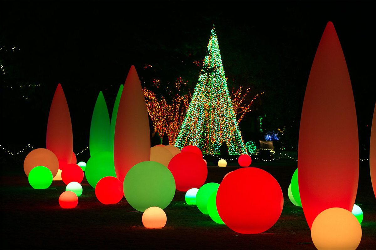The Atlanta Botanical Garden