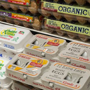 Egg cartons stack on store shelves, labeled as organic, large, and extra-large. Brands include Kreider Farms and ShopRite, within a refrigerated section.