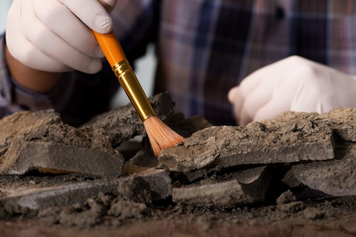 Archeologist working late night in office