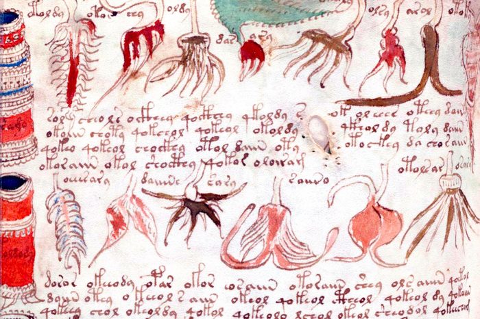 The Voynich Manuscript is considered by scholars to be most interesting and mysterious document ever found. Dated 16th century
