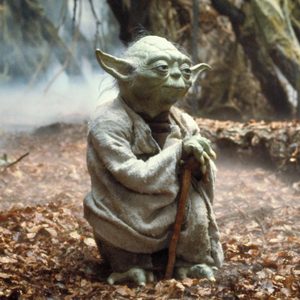 A small, green creature stands holding a wooden staff in a misty forest surrounded by trees and fallen leaves.