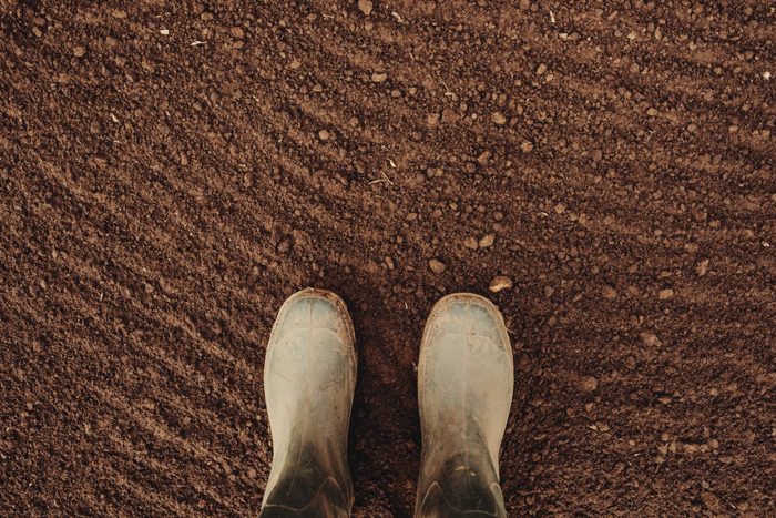 soil