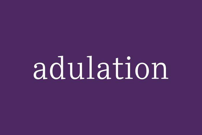 Fancy Word Adulation