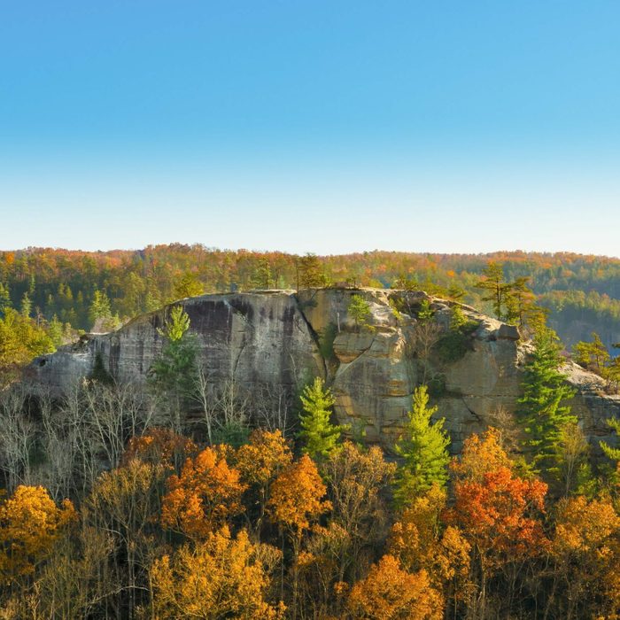 Cliff rises amidst vibrant autumn foliage and dense forest under a clear blue sky.