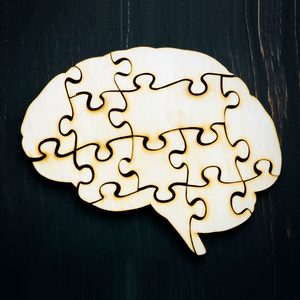 Wooden brain-shaped puzzle resting on dark wooden surface, depicting interconnected pieces fitting together, symbolizing complexity and unity.