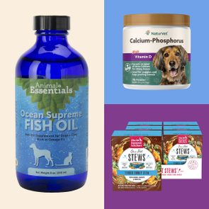 Fish oil bottle stands, calcium-phosphorus container sits beside dog image, stews boxes stack together. Products cater to pet health, featuring supplements and food.