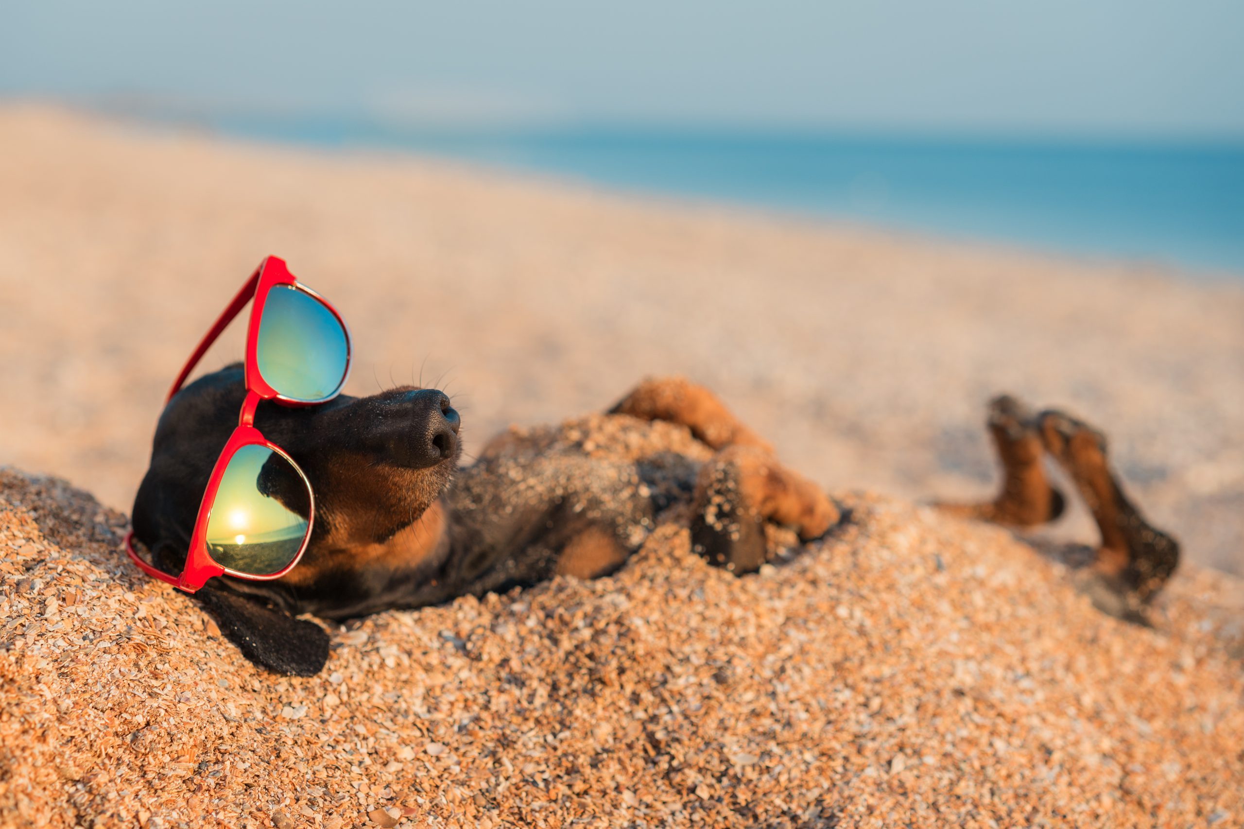 22 Beach Puns That Are Shore to Make You Laugh