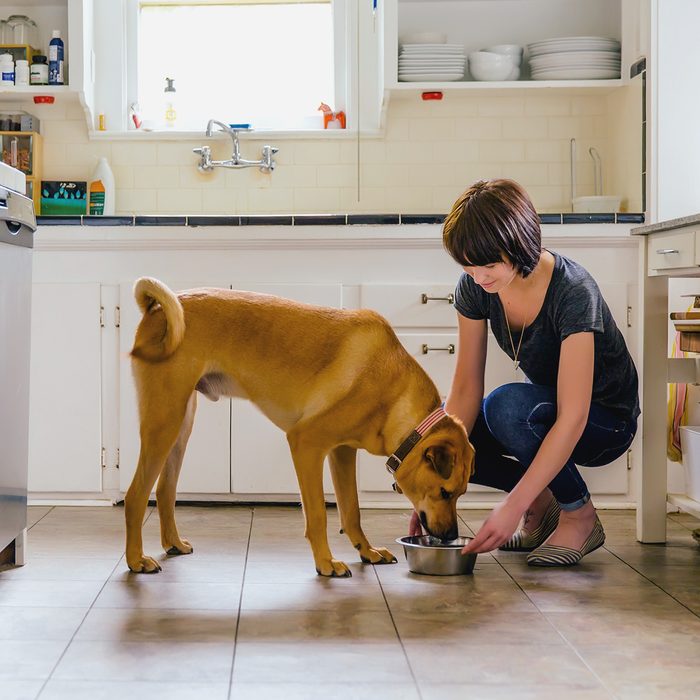 Dog eats from a bowl, assisted by a woman, in a bright kitchen with tiled floor and white cabinets.