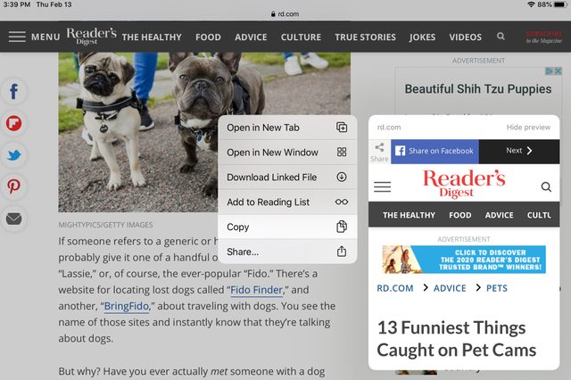 Two dogs wearing harnesses stand on a path, beside a menu overlay on a Reader's Digest website page.