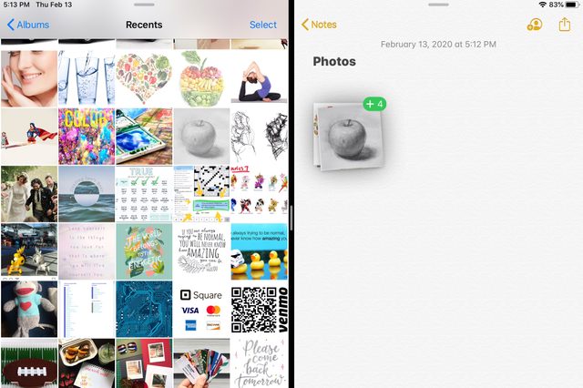 Thumbnails display various images, including a pencil drawing of an apple. On the right, digital notes contain a smaller version of the apple drawing.