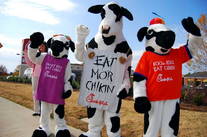 chick fil a cows mascot 