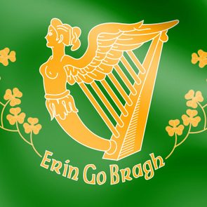 Golden harp and female figure adorn a green background, surrounded by shamrocks. Text reads 