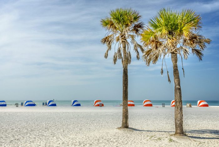 Two palm trees stand on a sandy beach with blue and orange striped cabanas against a calm ocean backdrop.
