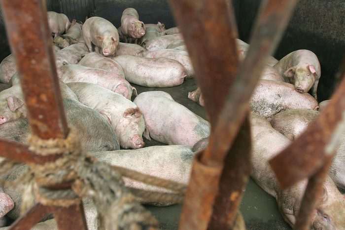 Mysterious Disease Kills At Least 17 In Southwest China