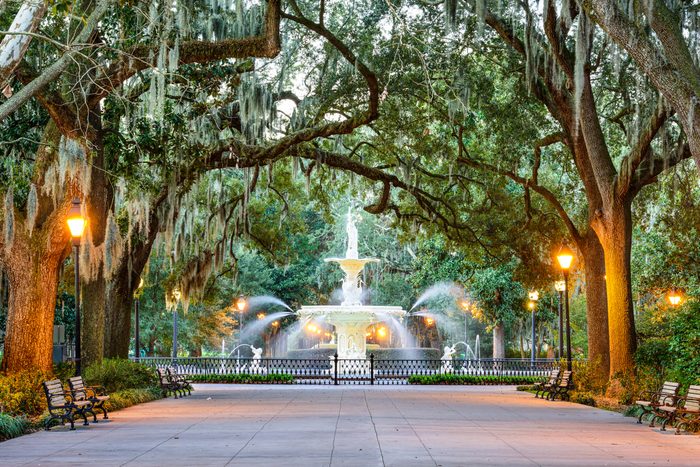A fountain sprays water beneath moss-draped trees, surrounded by benches and illuminated street lamps, creating a serene park setting.