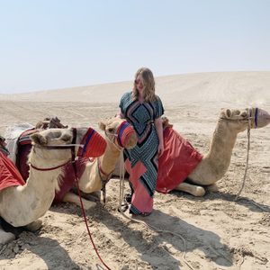 Two camels rest on sand, adorned with red coverings. A person stands beside them, holding a lead, in a desert landscape.