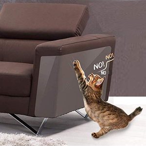 Cat scratches armchair; words 