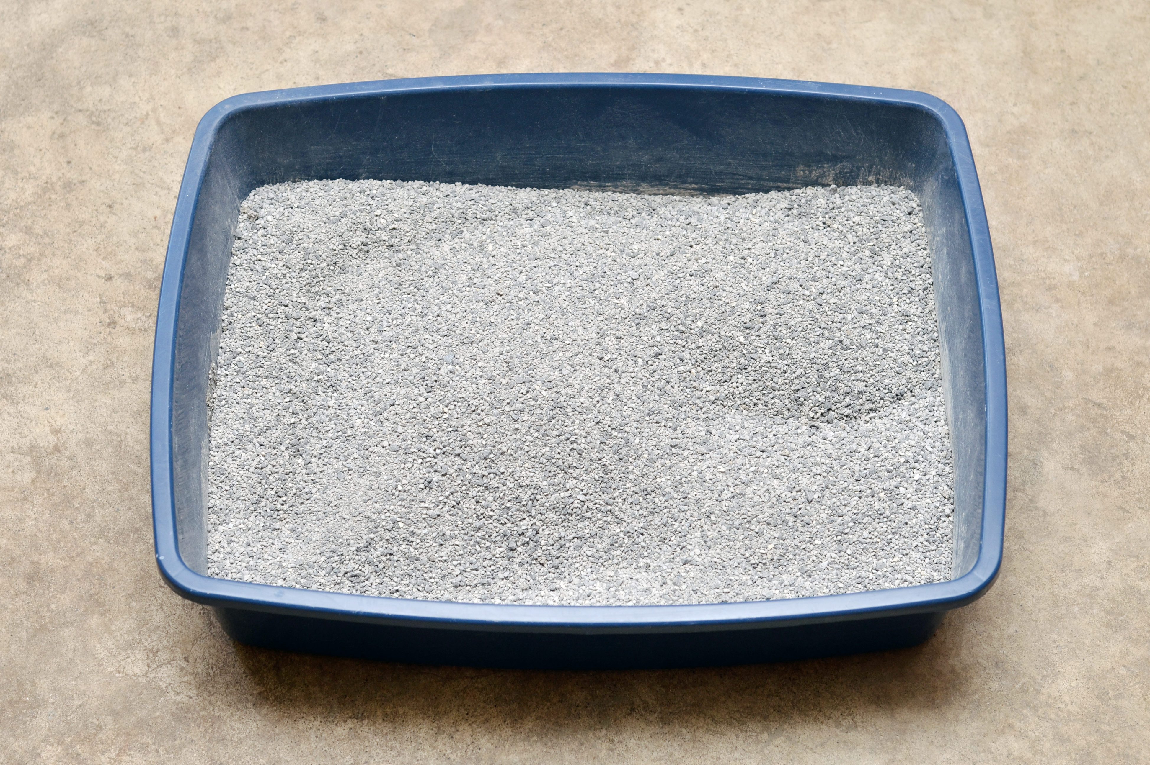 Litter Box