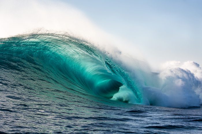 Wild blue