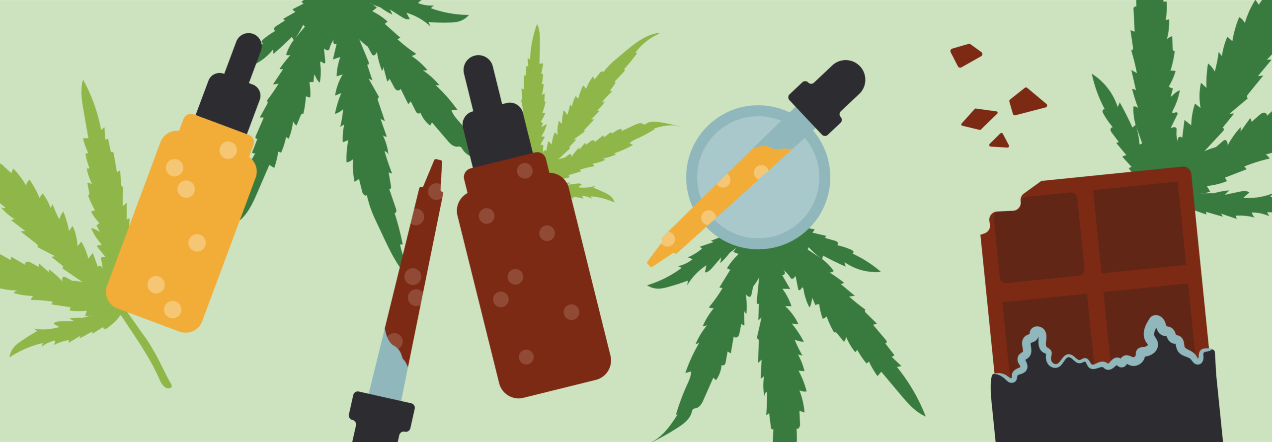 Bottles with droppers and a chocolate bar surrounded by cannabis leaves on a light green background.