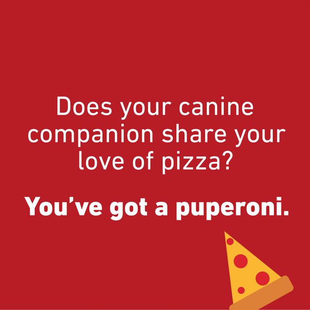 pizza pun