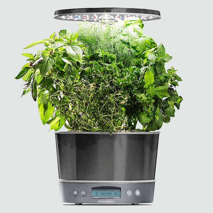 sweet peppers plant