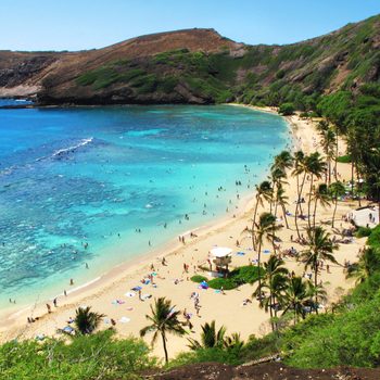 Beachgoers swim and relax on a sandy beach with turquoise waters, surrounded by lush hills and palm trees.